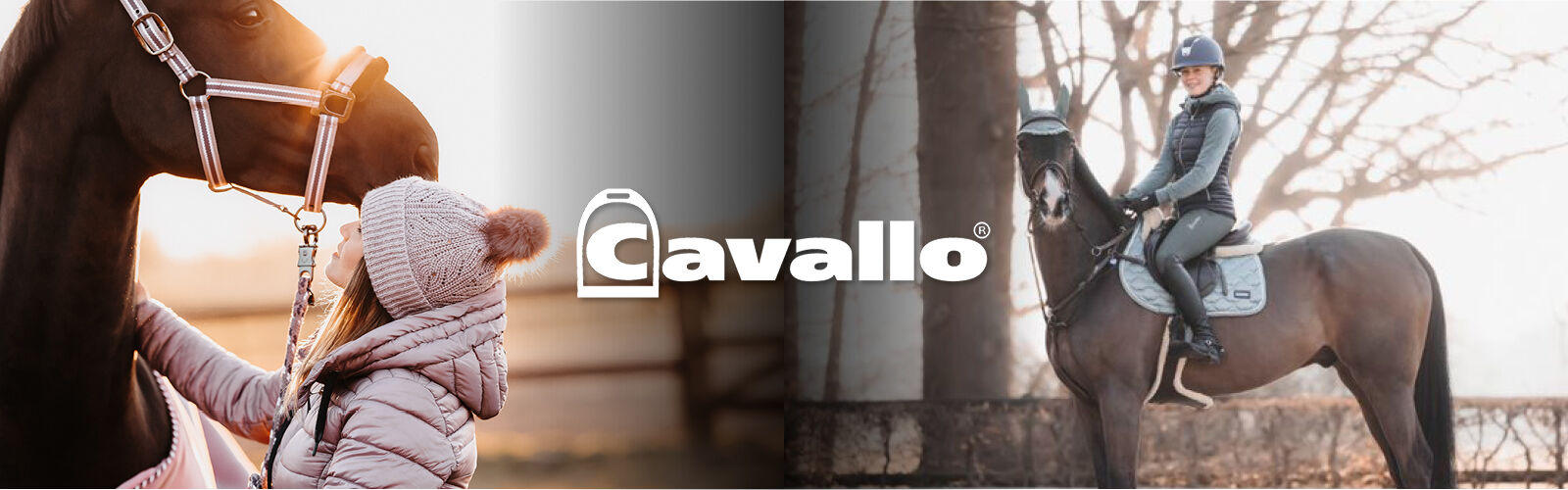 Cavallo horse discount